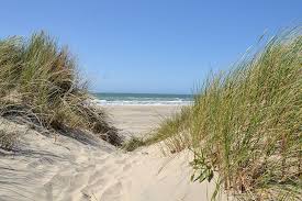 Wir zeigen euch die schönsten strände in der kinderfreundliche badestrand ist ganze 20 kilometer lang und befindet sich in einem der ältesten. 15 Danemark Strand Ideen Danemark Strand Strand Strandbilder