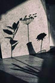 Light And Shadow By Shuichi Machimoto Shadow Art Light And Shadow Photography Shadow Photography