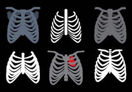 We did not find results for: Ribcage Vektor 118334 Vektor Kunst Bei Vecteezy