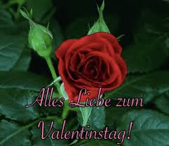 Find gifs with the latest and newest kostenlose valentinstag gifs downloaden seite 2. Valentinstag Rose Gif Valentinstag Rose Allesliebe Discover Share Gifs Cool Gifs Gif Animated Gif