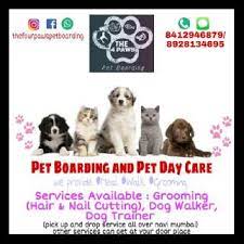 Check spelling or type a new query. Pet Sitters In Vashi With Best Prices On Petbacker