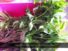 A total of 52% of the subjects consumed partially or boiled 'ulam.' factors that affect their preferences on 'ulam' were the perception of therapeutic effects of the 'ulam' towards health. Tertanya Tanya Akan Khasiatnya