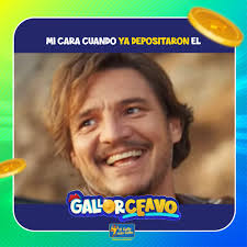 El Gallo más Gallo Honduras