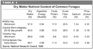 Nutrients In Horse Feed The Equine Nutrition Nerd