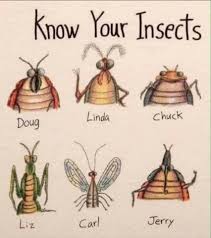 Insect control costs an average of $176 with a typical range between $111 and $261. Borden Pest Control Pest Control Service North Augusta South Carolina Facebook 55 Photos