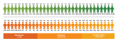54 Logical Body Bone Mass Percentage Chart