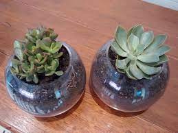This hanging plant pot comes with drainage holes, balance drainage, to create a healthy living environment for your indoor and outdoor plants. Planting Pots Without Drainage Holes Bunnings Workshop Community