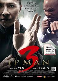 Ip Man (Yip Man) Serisi
