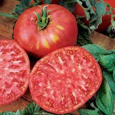 Free shipping on orders over $25 shipped by amazon. Tomato Seeds Heirloom Brandywine Pink Fruited Ferry Morse Home Gardening 202 S Washington St Norton Ma 02766