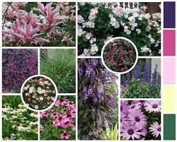 My granny says that there is a special flower for each month of the year. From Dying Lawn To Year Round Flowers In The Sf Bay Area Vision Garden Design