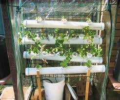 A simple hydroponic drip system can be very flexible, easy to build, and helpful for beginners unacquainted with a hydroponics system. Diy Hydroponics Instructables