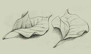 Easy 3d art pencil drawing how to draw 3d dew drop on leaf 5 steps with pictures instructables. Pin By Irem On Love Art Drawings Art Drawings Sketches Flower Sketch Pencil