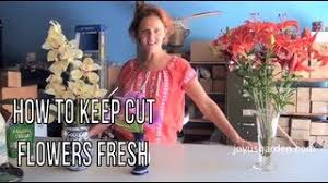 Do you still take them? Flower Care Tips To Keep Your Cut Flowers Fresh Floralpeutics