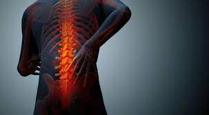 Low back pain (lbp) or lumbago is a common disorder involving the muscles, nerves, and bones of the back. Muscles And Bones The Makeup Of Your Lower Back Pain