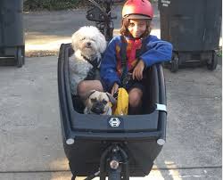 We know that the customization possibilities in animal crossing: Why I Stopped Taking My Kid To School By Bicycle Greater Greater Washington