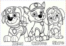 Skye and everest rainbow colouring page. Paw Patrol Coloring Pages Learny Kids 3432 2435 Png Download Free Transparent Background Coloring Paw