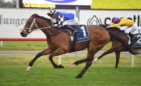 2020 Cox Plate The Right Race For Import Mugatoo Sports News Australia