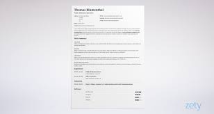 Fix your cv and land your dream job now! Curriculum Vitae Cv Format 20 Examples Tips