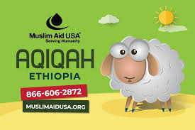We did not find results for: Aqiqah Animal Sacrifice Mausa