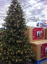(12) aa batteries (not included) and (2) 3v button batteries (included). Costco Christmas Tree Prices Christmas Decoration Prices