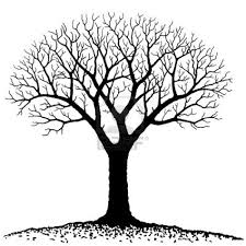 The Freelance Retort Stubborn Maples Bare Tree Tree Silhouette Family Tree Clipart