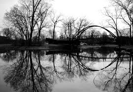 Local Photographer Tenney Park In Madison Beautiful Nature Pictures Nature Photographs Nature Photography