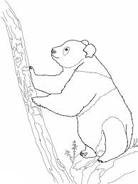 Panda Giant Panda Try To Climb Tree Coloring Page Panda Coloring Pages Tree Coloring Page Coloring Pages