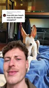 Replying to @Urmum_2764