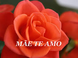 Mãe, descanse em paz, te amarei para sempre e a senhora sempre terá o meu. Mae Te Amo Ppt Carregar