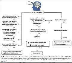 Prices of private policies will always vary and can be difficult to generalise, but on average, health insurance in south africa can cost from r1,000 (£46) to r2,000 (£93) per month for a family of four. Transcranial Magnetic Stimulation Tms Fibromyalgia Study Produces Lasting Relief Health Rising