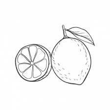 Maybe you would like to learn more about one of these? Purees Mazzoni Frozen