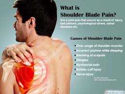 These muscles and tendons form a covering around the head of your upper arm bone and attach it to your shoulder blade. Shoulder Blade Pain Symptoms Causes Types Treatment Exercise