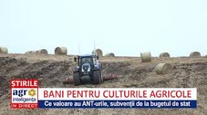 Subventii apia 2017 pe hectar. SubvenÈia Apia La Hectar PlÄtitÄ In 2018 Youtube