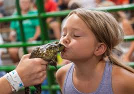 2024 Vanderburgh County Fair