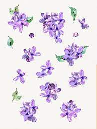Watercolor Spring Flowers Clip Art Lilac Blossom Blue Pink Etsy Flower Clipart Lilac Wedding Invitations Lilac Blossom