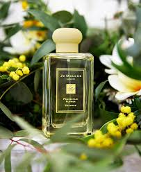 Mpp Colognes Light Floral Colognes Fragrance Photography Perfume Perfume Photography