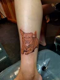 There's something beyond his play that also seems to fit the city of philadelphia: Tattoo Uploaded By Joanna Swirska Tattoo By Dzo Lama Dzolama Besttattoos Besttattoo Best Favorite Monk Mushrooms Nature Buddha Psychedelic Surreal Trippy Color Illustrative 797835 Tattoodo