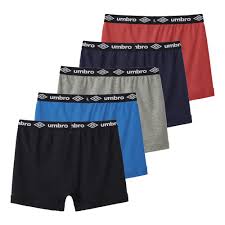 ボクサーブリーフ メンズ 下着 乾燥通気長平底男性用パン（ボクサーブリーフ メンズ ボクサーパンツ 無地 股間ポケット 男性下着 ヘインズ 抗菌防臭  吸汗速乾 伸びる M-LL Hanes 下着 イ）