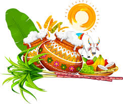 pongal garnish plant food for thai pongal for pongal 5422x4602 holiday png