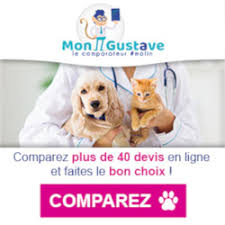 We did not find results for: Petites Annonces Gratuite Animaux Chiens