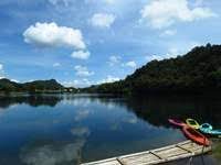 Daun disini tetap sebagai tempat fotosintesis dilakukan seperti tumbuhan lain pada umumnya. Drama Tenang Tenang Air Di Tasik Quiz Quizizz