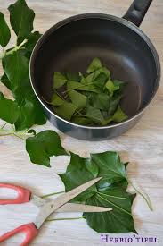 Lessive Au Lierre Herbio Tiful Recette De Lessive Lessive Recette Produit Menager