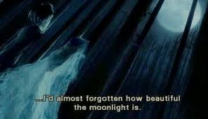 Pin By B On 12 Bride Quotes Quote Aesthetic Corpse Bride