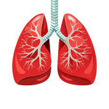 Asthma: Causes, Symptoms, Triggers, and Management