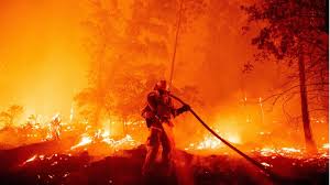 Der 16 tage wetter trend für alanya. Gender Reveal Party Paar Lost Waldbrand Aus Und Konnte Ins Gefangnis Kommen Stern De