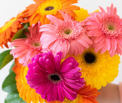 Check spelling or type a new query. From You Flowers Fromyouflowers Twitter