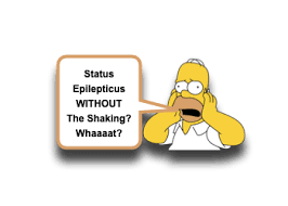 Image result for Status Epilepticus