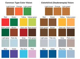 The ratio of light for each incoming color is then sent to your brain. Unicolor Pro What Is Color Universal Design Eizo