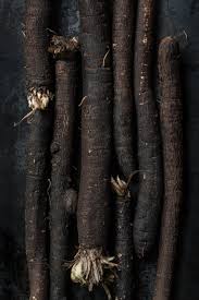 It's also loaded with other nutrients like potassium, calcium, and vitamin. Salsify Risotto Delicious And Healthy Thanks To Inulin