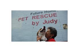 Our mission is to rescue unwanted dogs, rehabilitate and rehome. Pet Rescue By Judy S Dream Comes True Winter Park Maitland Observer West Orange Times Windermere Observer